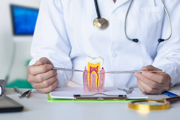 Best Cosmetic Emergency Dentistry in Brownfields, LA